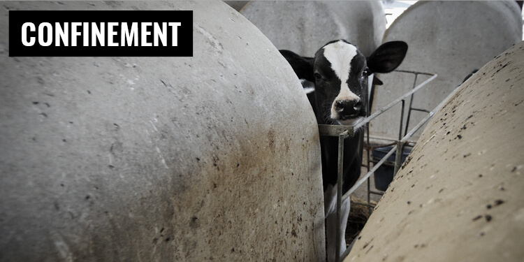 CONFINEMENT