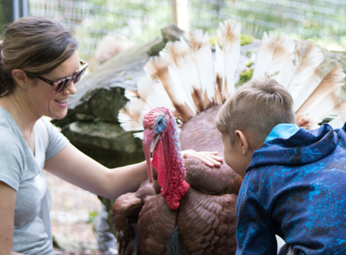 Child Woman Smile Turkey