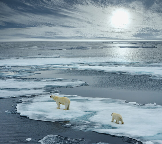Climate Change 1