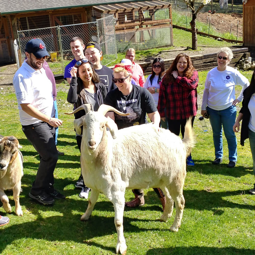 Compassion day workplace giving