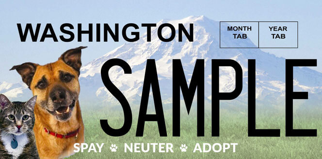 Dive with a purpose plate 1