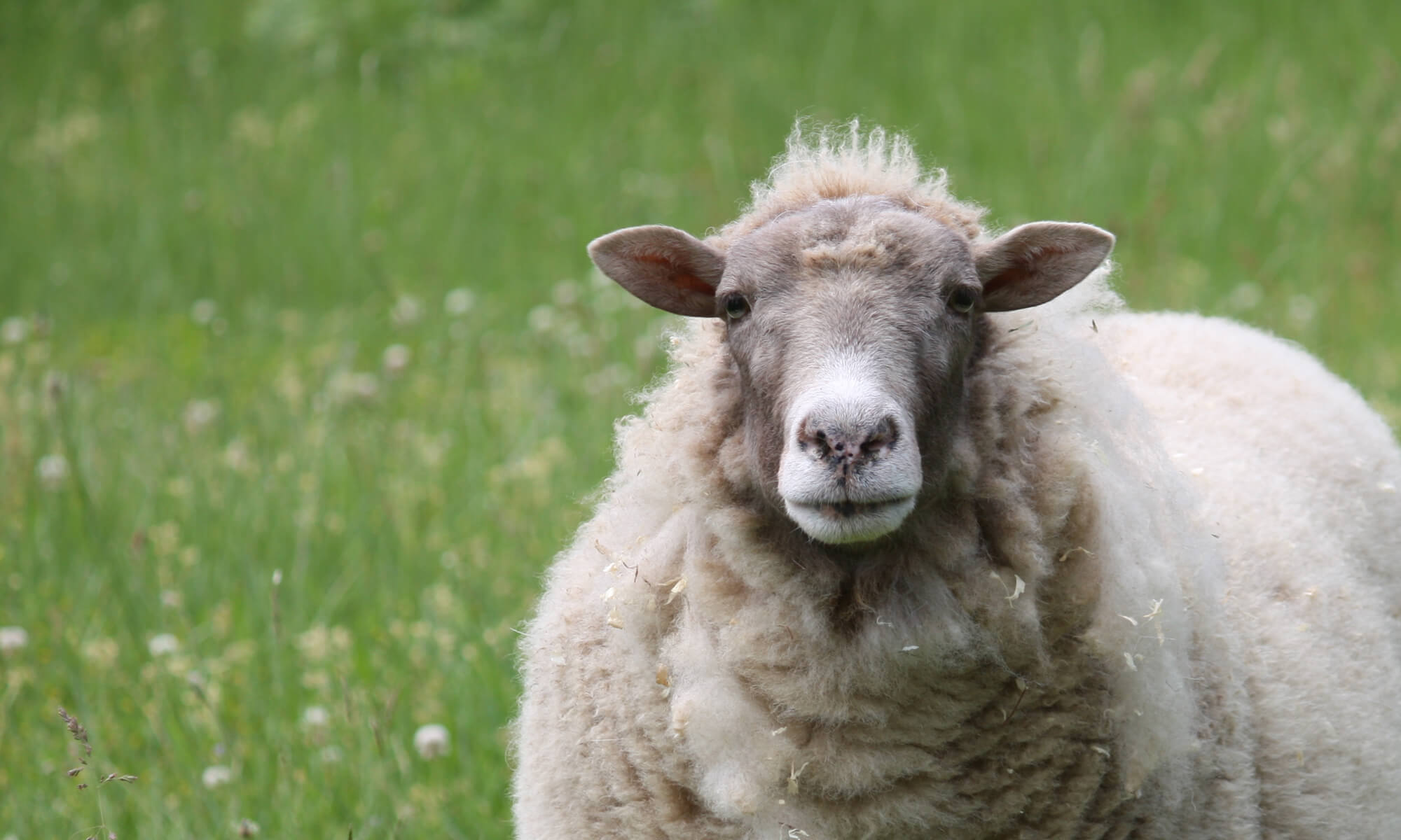 In honor of Masthead