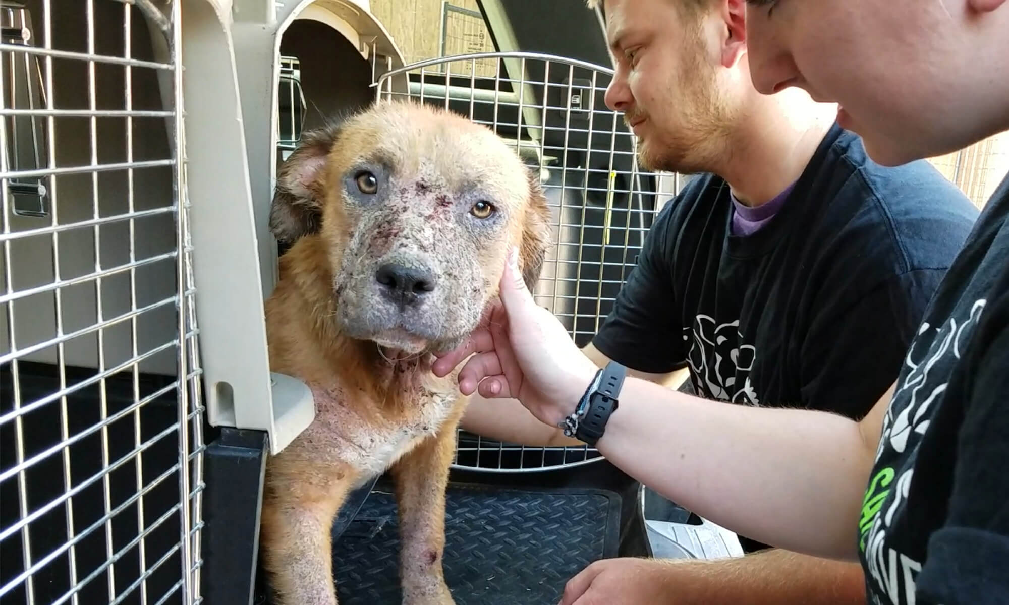 Investigations and Rescue