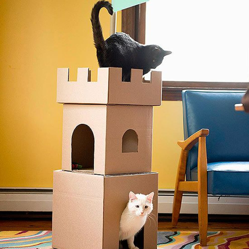 Kitty castle