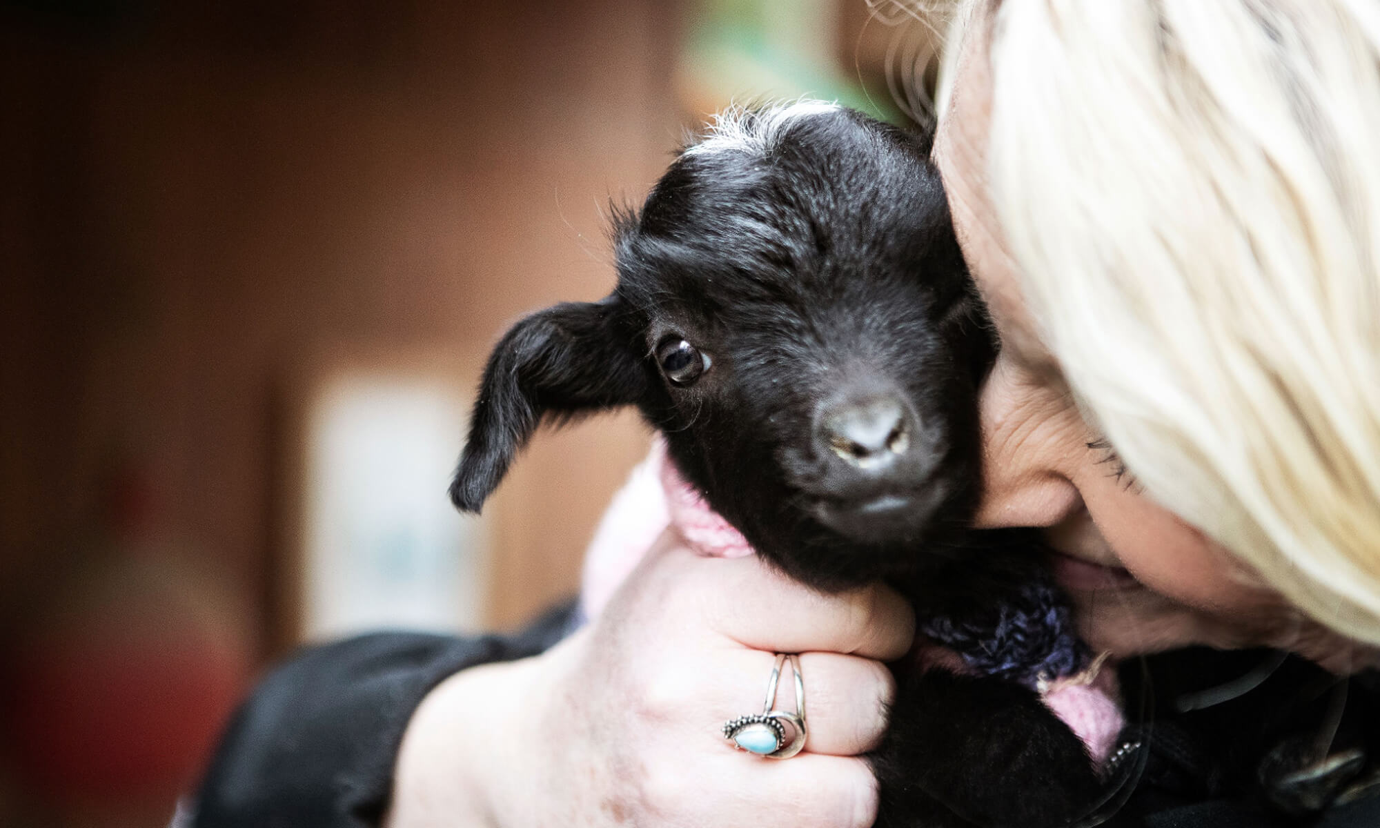 LOVEbash 2020 Masthead