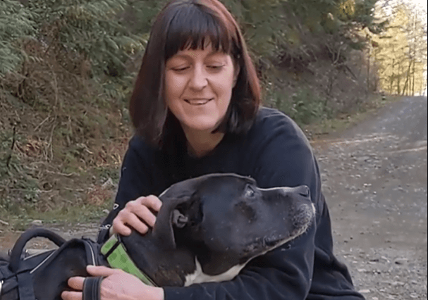 Learn dog training techniques with Caregiver Michele