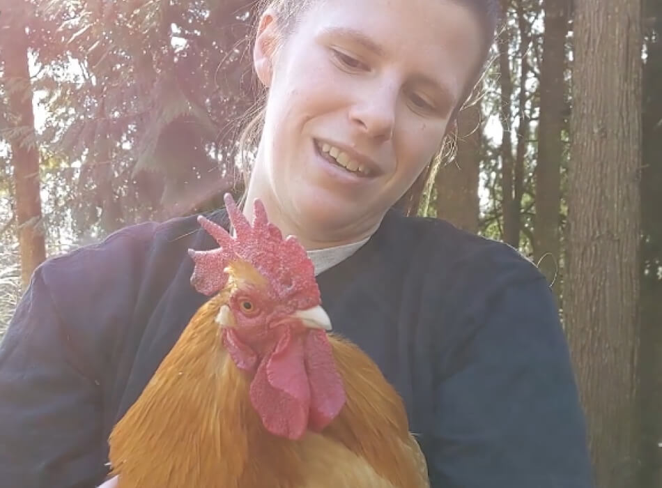 Meet our friendly social chickens with Caregiver Brooke
