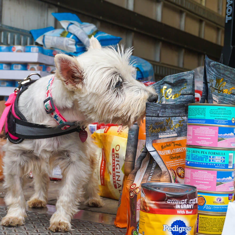 Mobile pet food bank