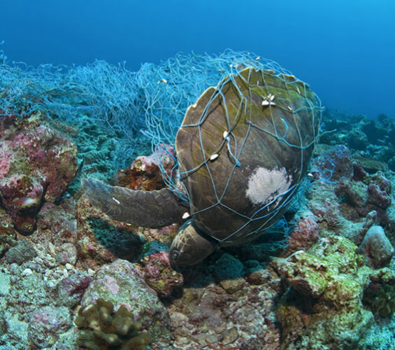 Ocean Imact 1