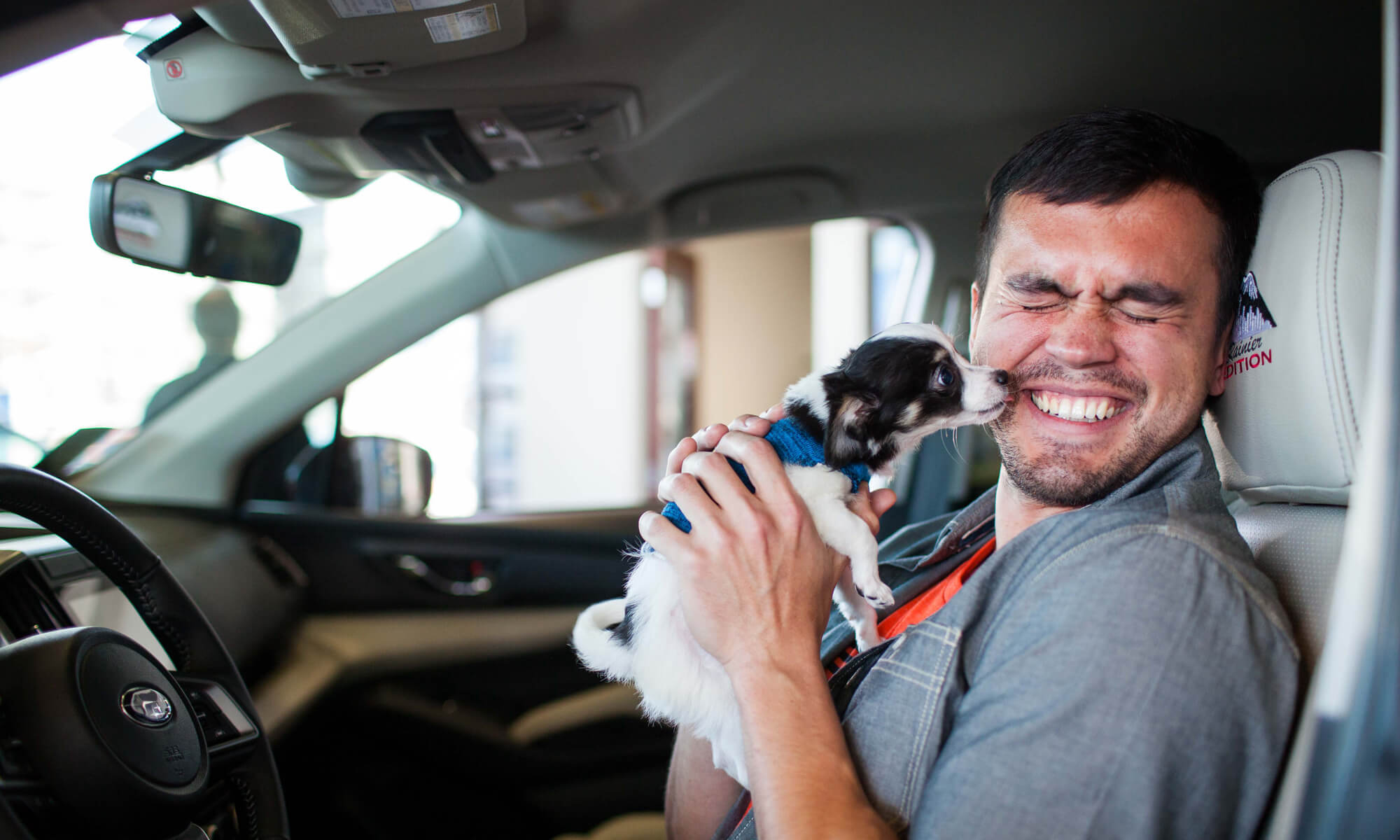 Stock and vehicle Masthead