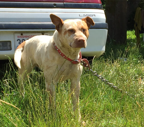 Tethering alternatives