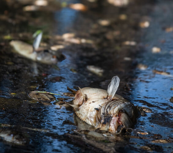 Water Impact 1