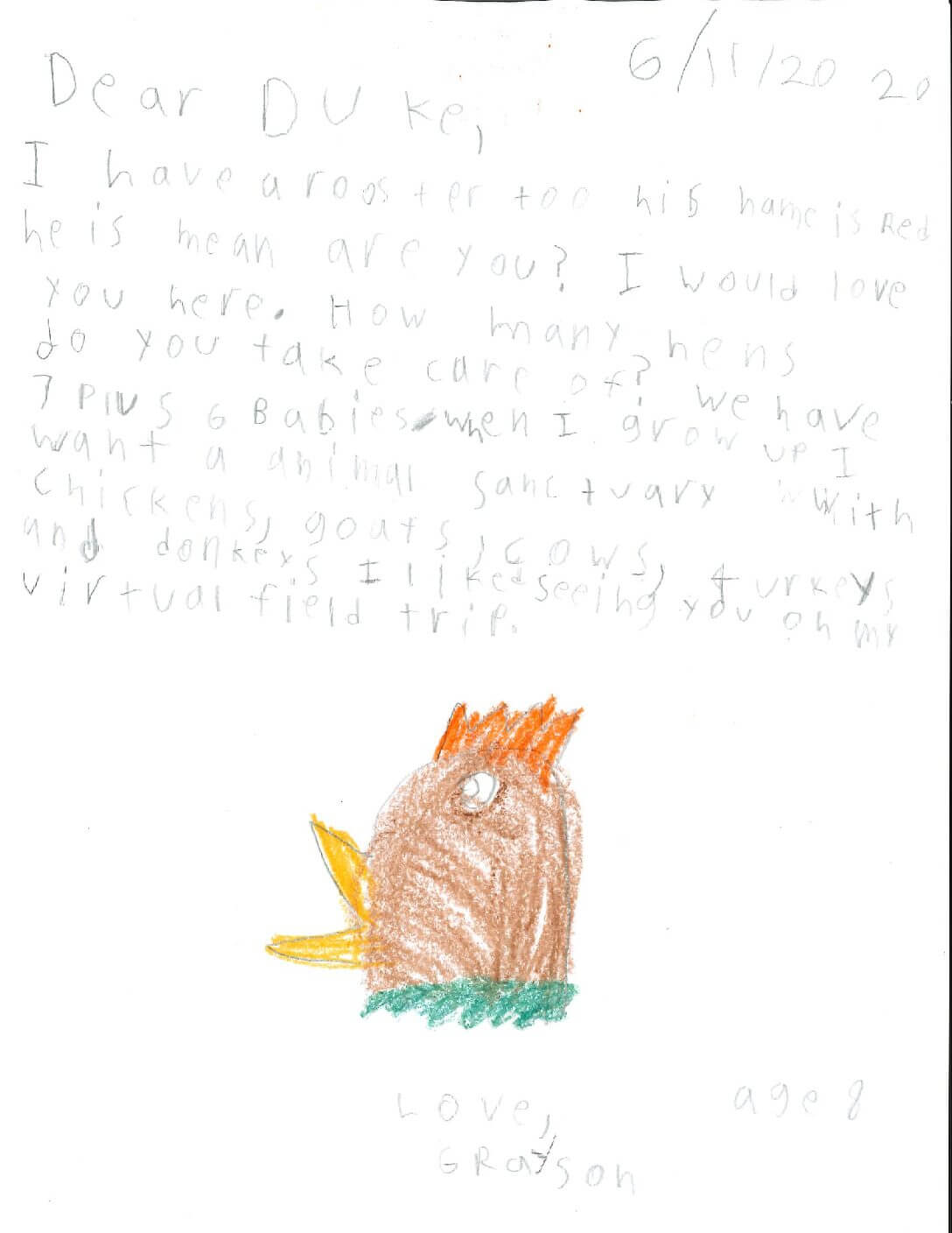 duke rooster grayson age 8 connecticut 1 pdf