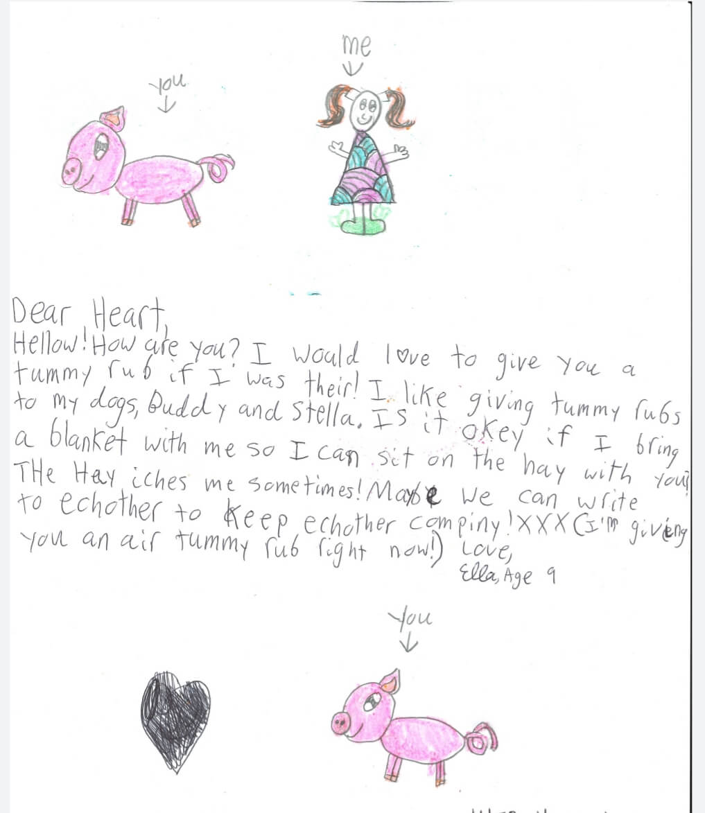 heart pig ella age 9 washington