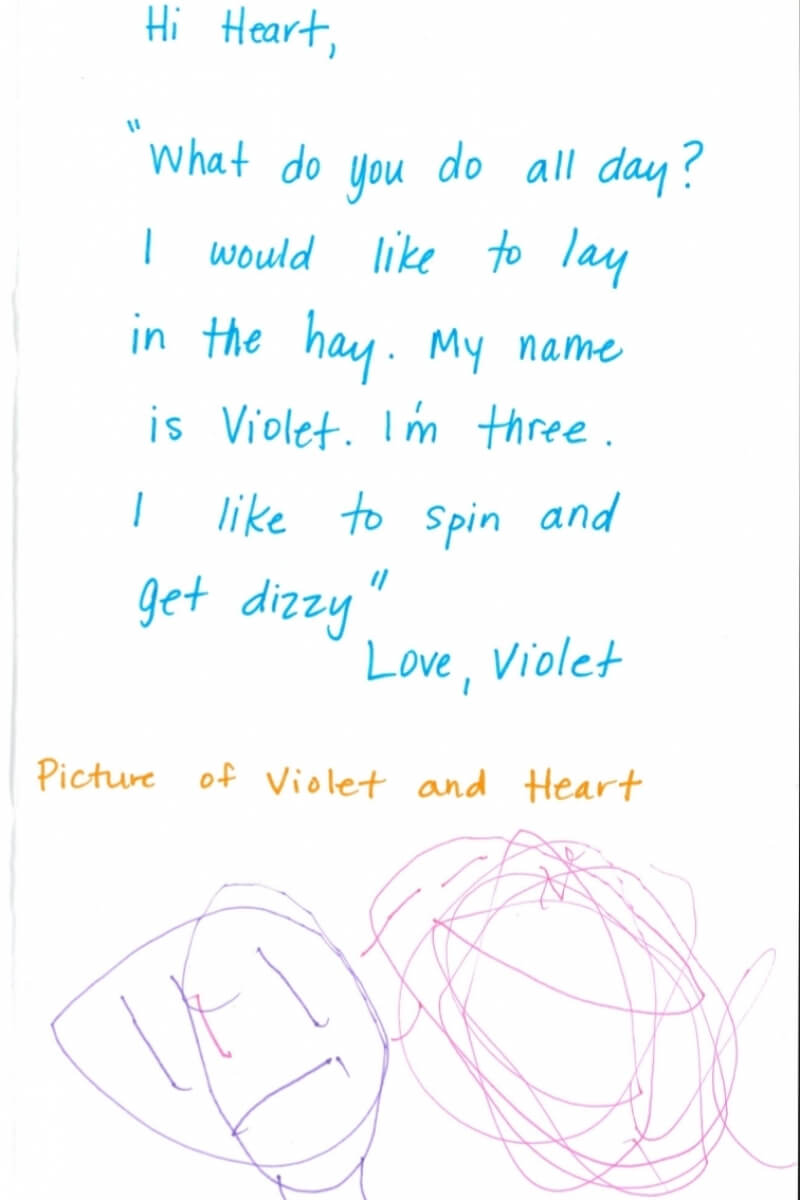 heart pig violet age 3 colorado