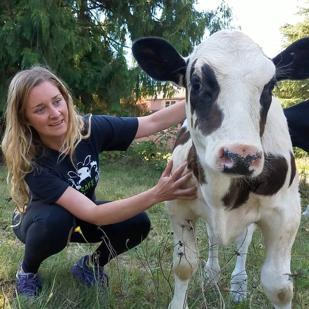 Banner Brenna Woman Cow Smile
