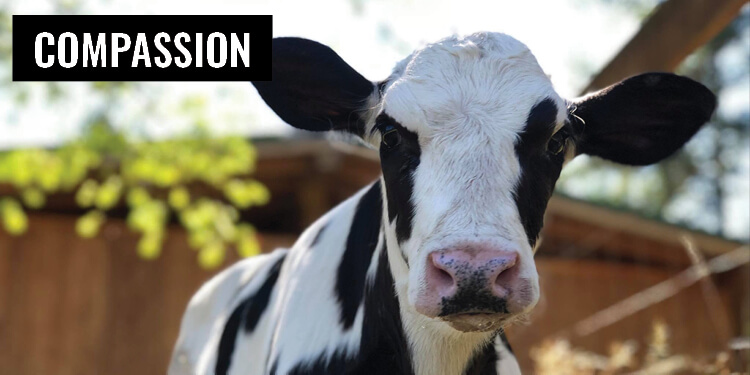 Clothing Difference Temp10