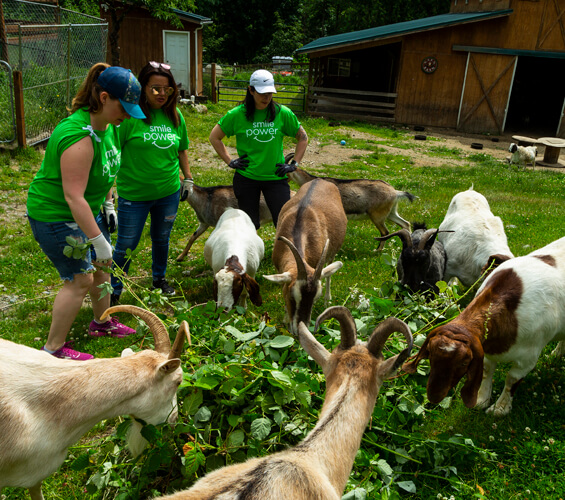 Delta Dental compassion day