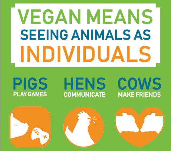 Infographic Vegan Means Pigs Hens Cows