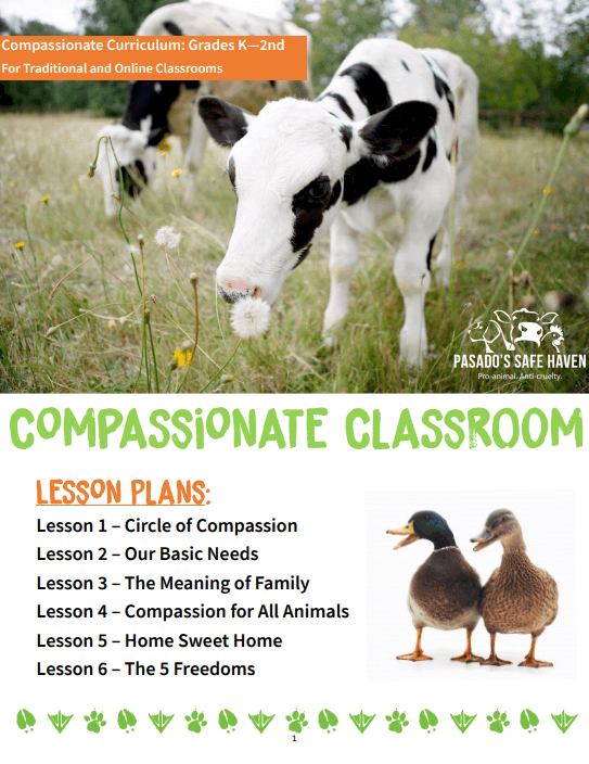 Compassionate classroom curriculum