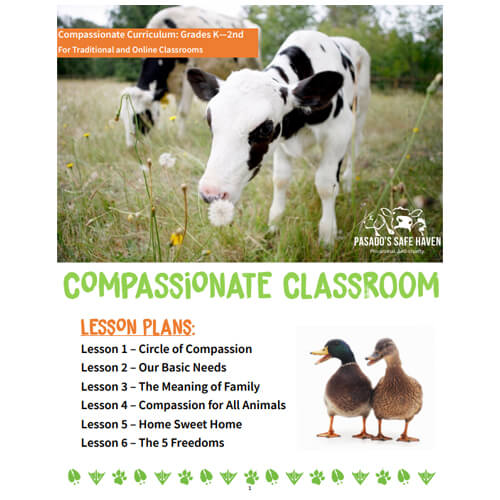 Compassionate classroom