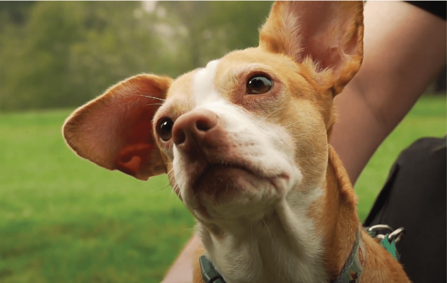 Screen Shot 2021 04 16 at 10.51.51 AM