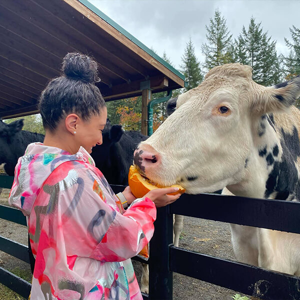 https://www.pasadosafehaven.org/wp-content/uploads/2022/01/tour-cow-treats.jpg