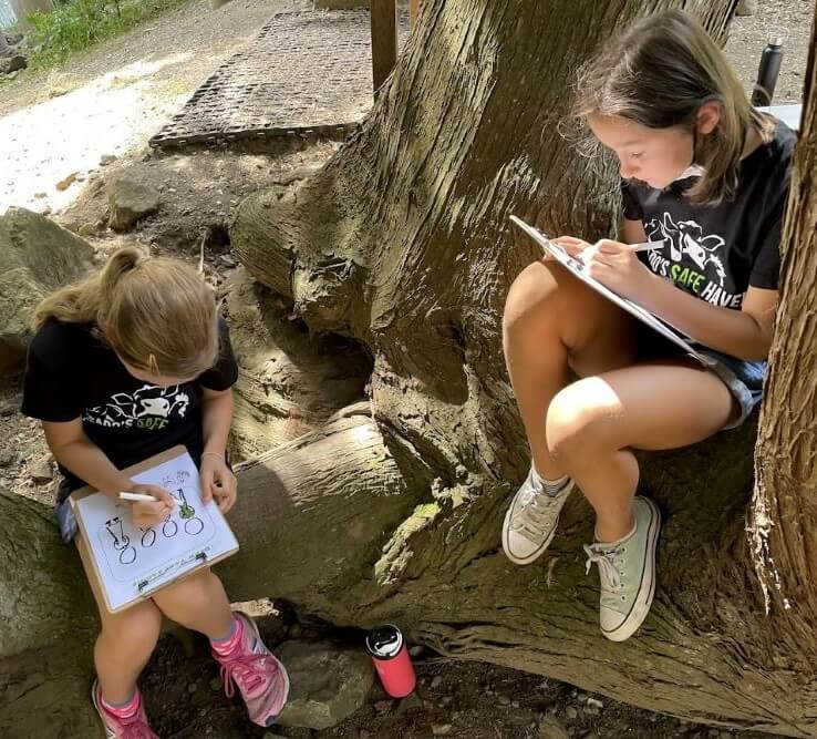 A31E016B DBFC 4797 BCBC DD8E20ADDFA2