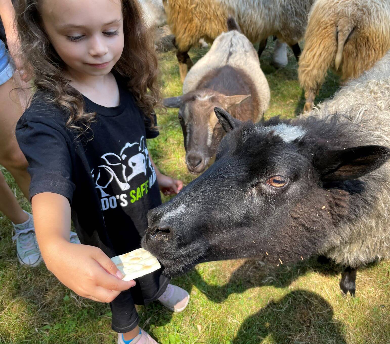 BAB92795 1351 4693 9C81 F3D1561D1092