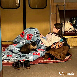 Ukraine rescue efforts 2