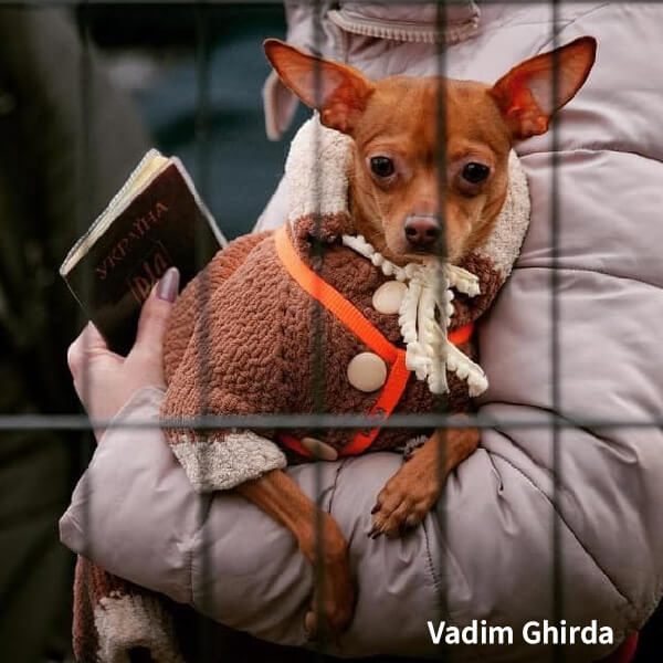 Ukraine rescue efforts 4