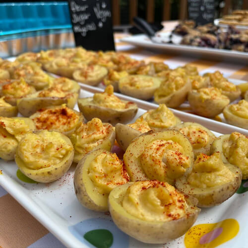 Pig friendly picnic 3