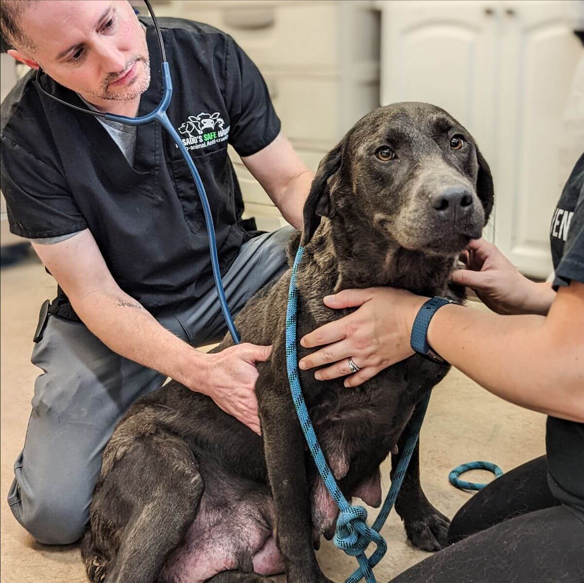 842c5242 7965 24c7 de97 bee15b7dfee0