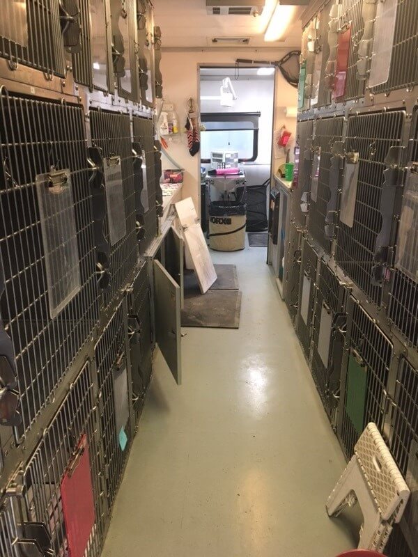 BREAKIN SS2 damage interior