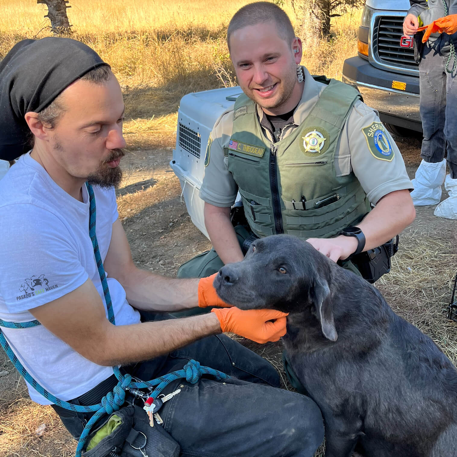 eb1d46b0 e7a8 403d df59 86b323fec9f9