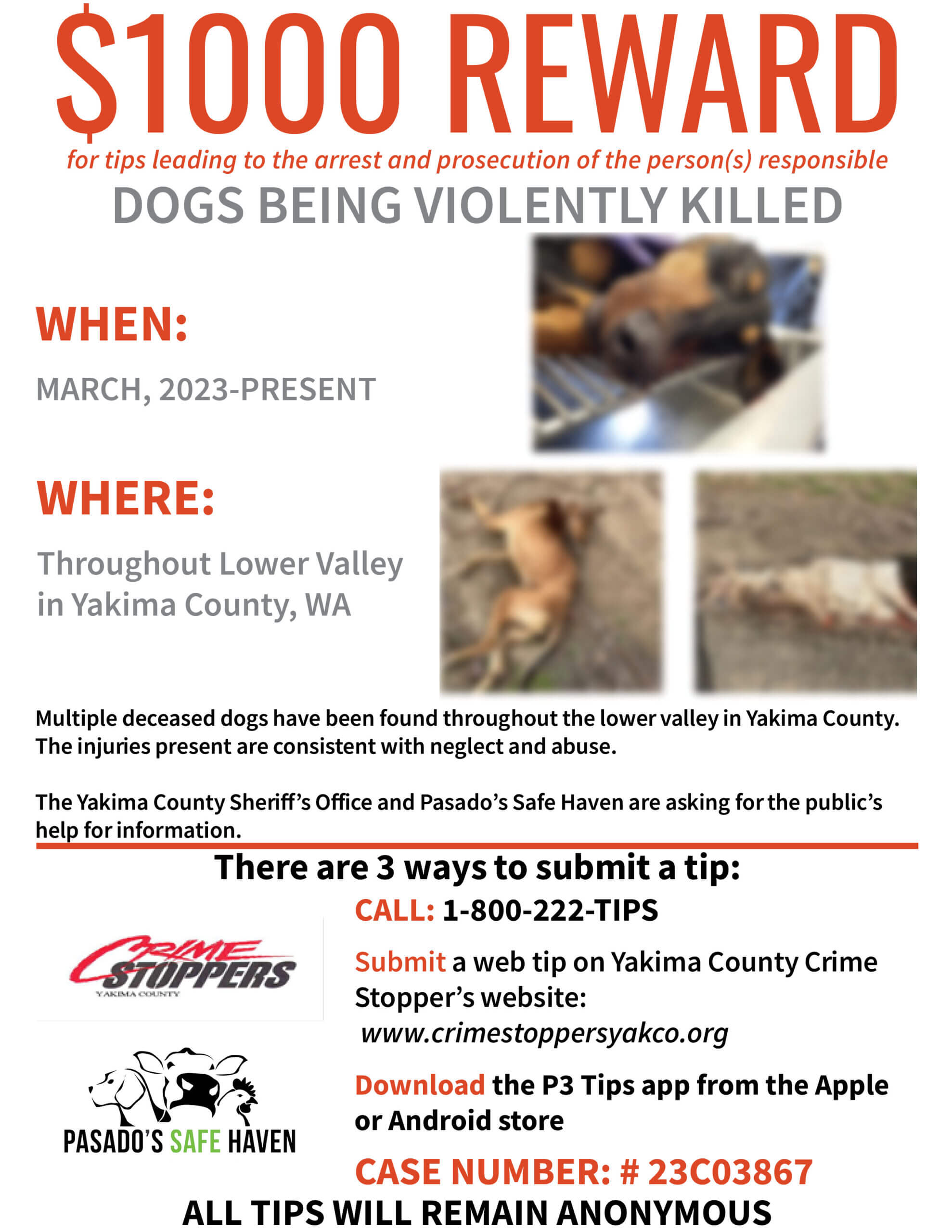 $1,000 REWARD - Dogs Being Violently Killed in Yakima County - Pasado's  Safe Haven: Animal Rescue and Sanctuary
