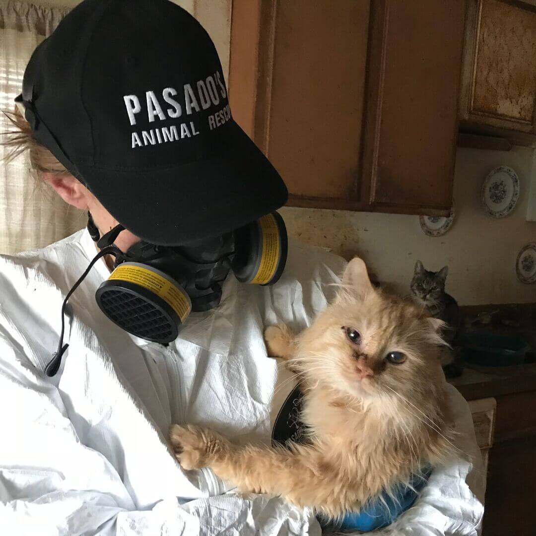 Investigations Rescue Feed square