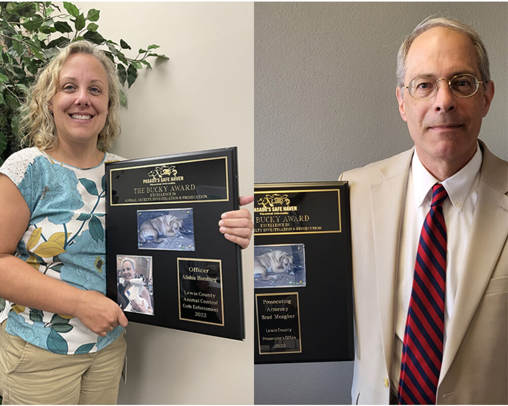 12th annual bucky award winners crop