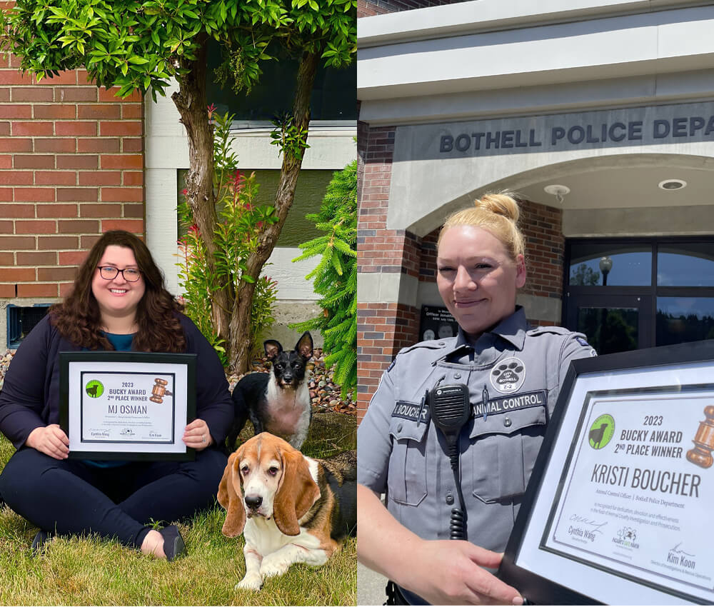 12th annual bucky award winners second place crop