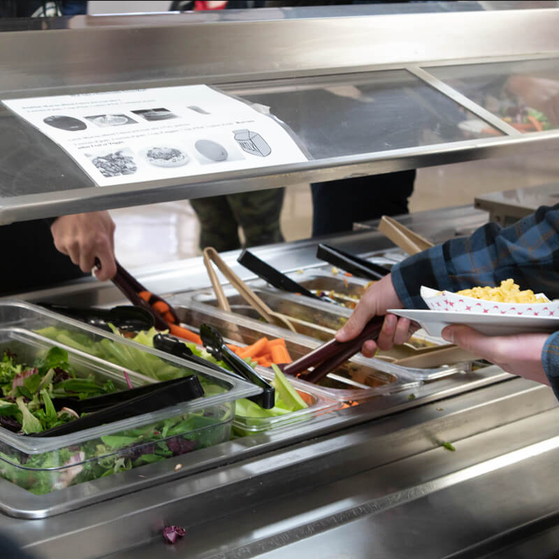 Plant powered take over salad
