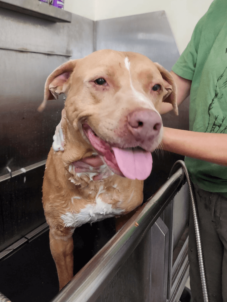 22d5800d c03d 0900 e42d ee8437f279db