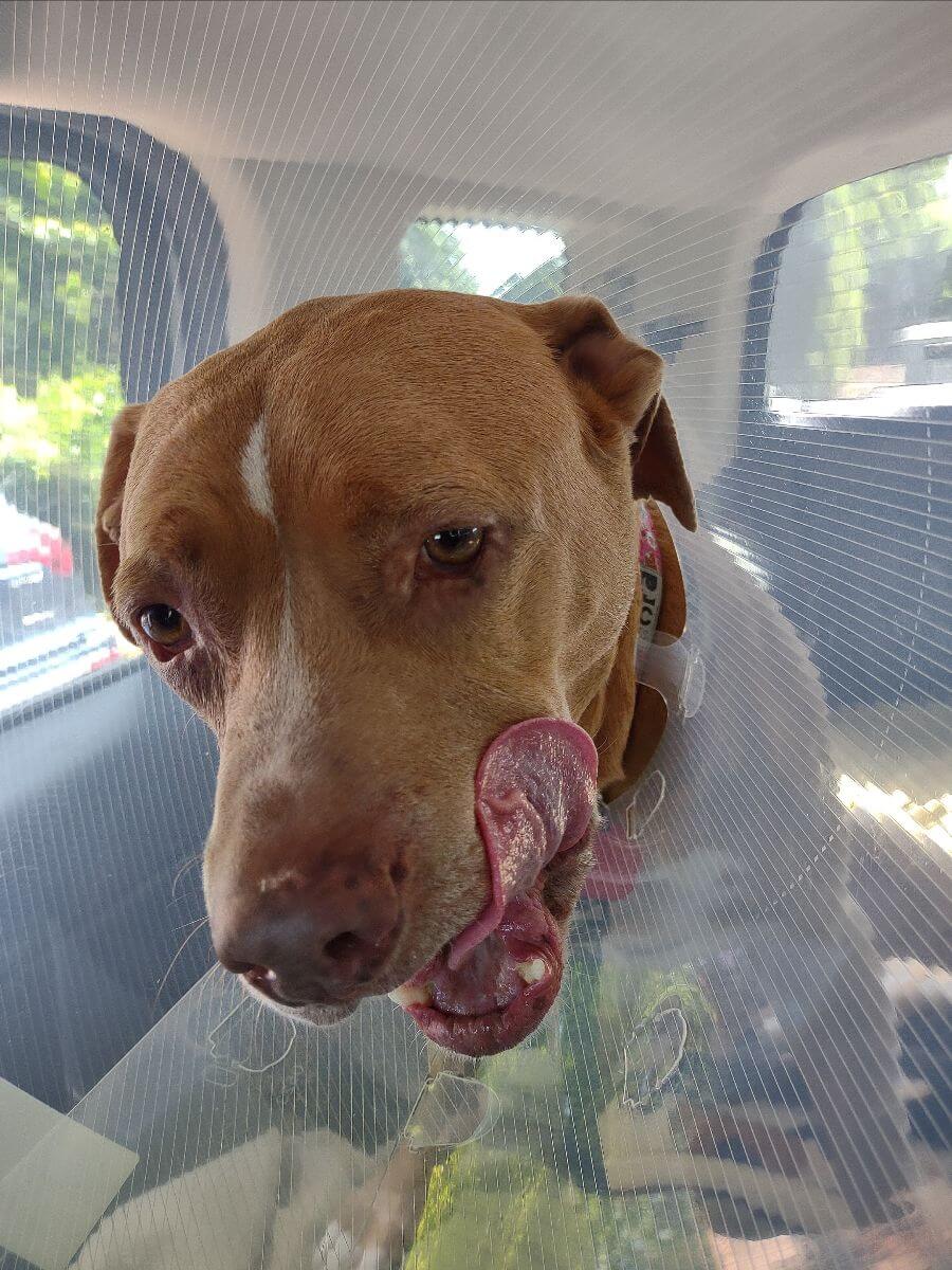 53958dd8 f617 a4f1 8555 4bfbf8936428