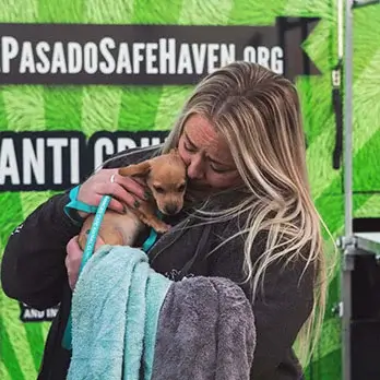 Pet services spay neuter clinic scaled 1