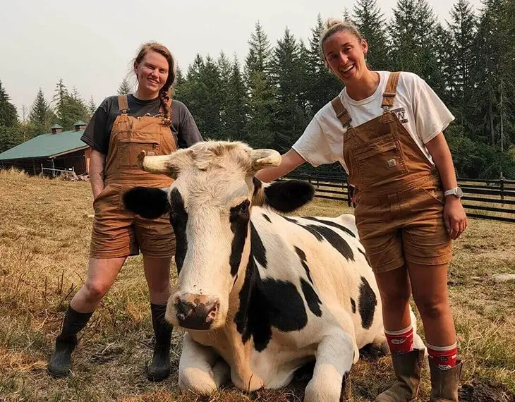 ジャーニーという名前の牛の隣に立ち、ワシントン州パサドのセーフ ヘブンで動物福祉を推進する 2 人の女性介護者。
