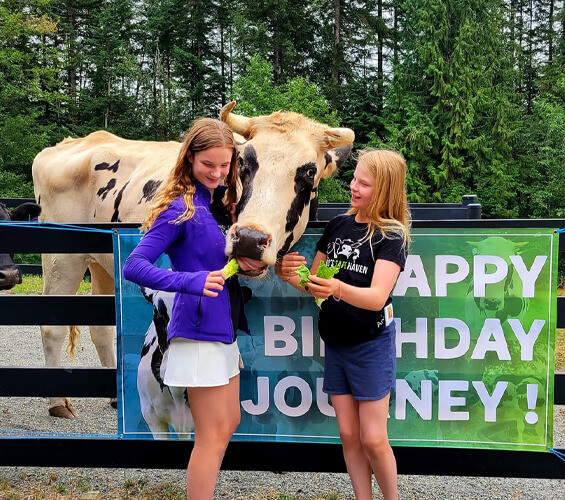 Two girls stand beside a cow, feeding it leafy greens. Behind them is a 