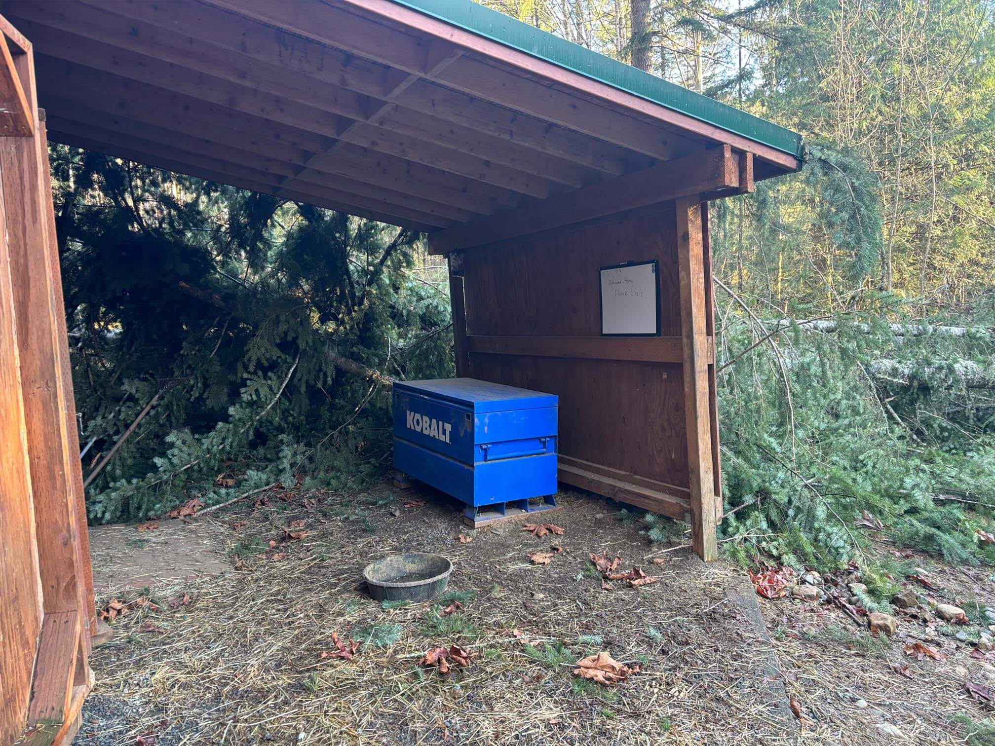 A Blue Kobalt tool chest stands as a sanctuary under a wooden shelter, surrounded by fallen tree branches—a testament to the recent storm damage.