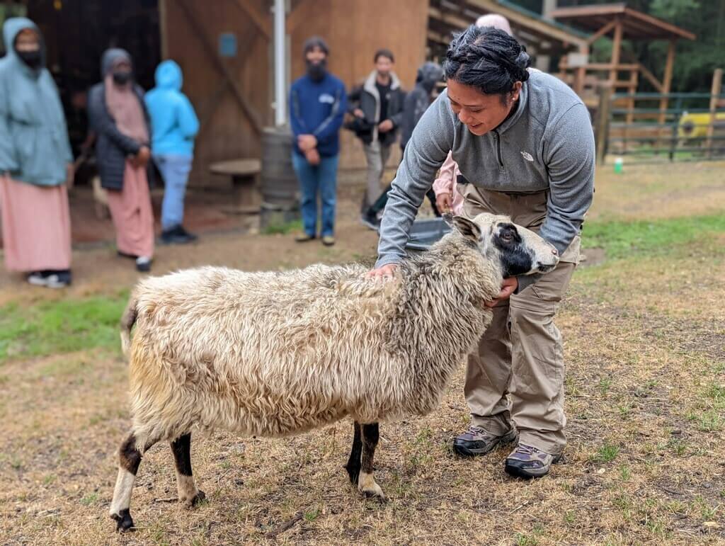 A person in a gray jacket and khaki pants pets a sheep outdoors, embodying inclusion as they share this moment with a diverse group of people standing in the background.