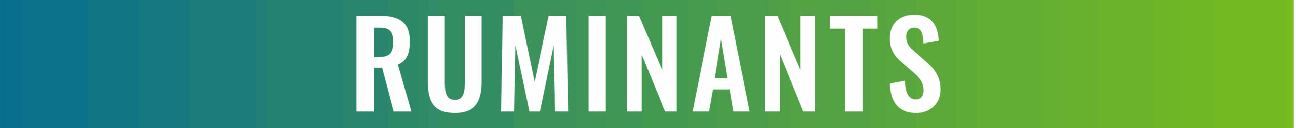 The word "RUMINANTS" in large white capital letters on a blue-to-green gradient background, perfect for highlighting seasonal pet care or spring animal care tips.