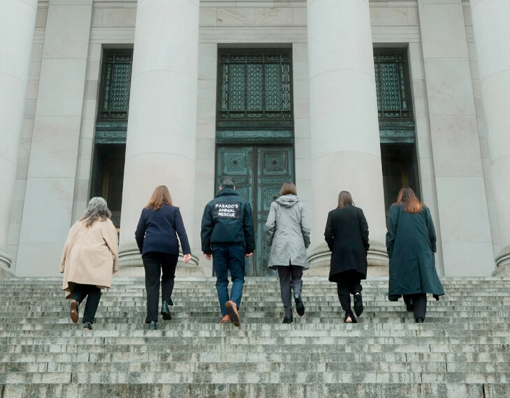 Six people walk up the stone steps toward large wooden doors of a government or courthouse building with tall columns, symbolizing what we do to uphold justice and serve the community.