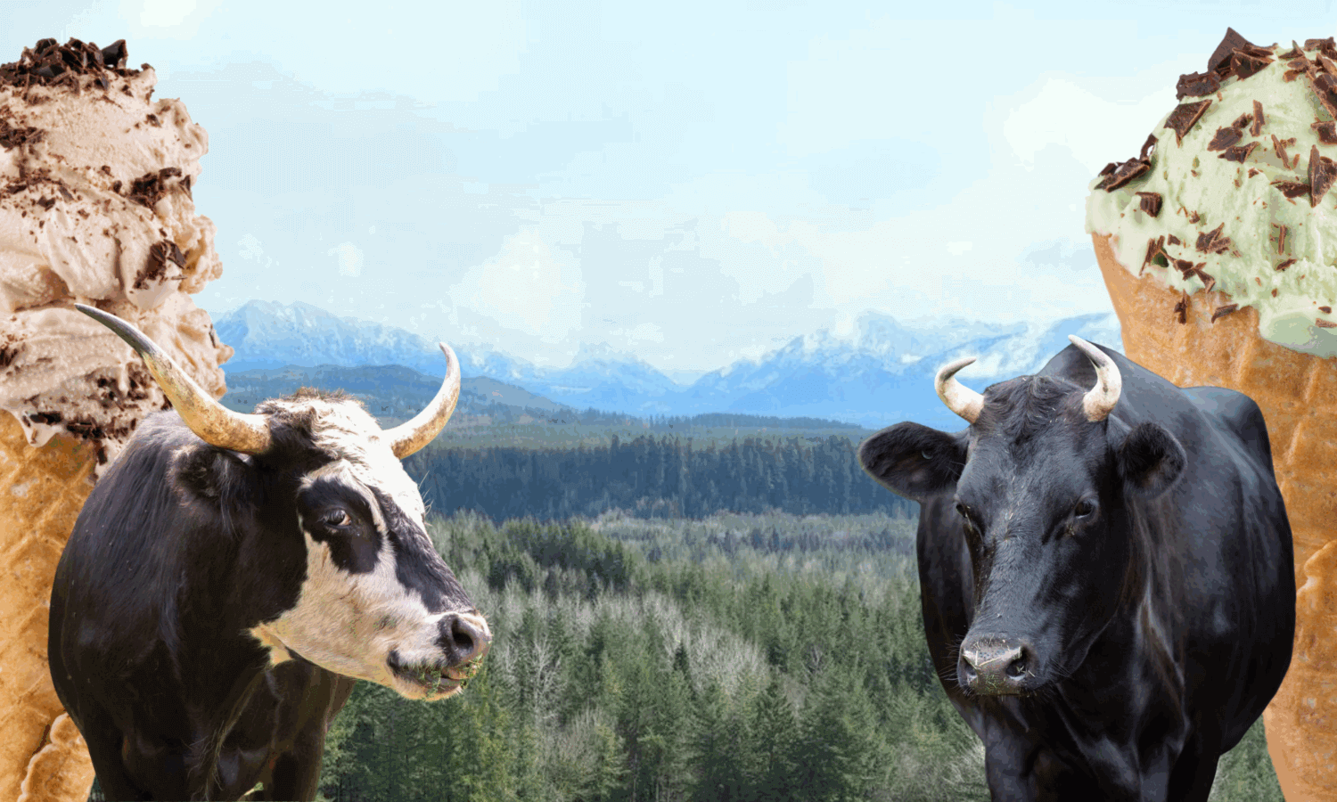 Two cows stand in front of a forested mountain landscape, flanked by large cones with ice cream scoops on either side.